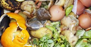 New Event! Composting 101
