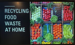 Successful Event! Composting for Beginners Featuring Sustainable Moorestown’s Wayne Urffer