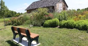 Moorestown Township Awarded $243,700 Grant for Swede Run Fields Habitat Restoration